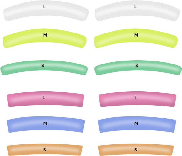 Lash Lift Silicone Rod, Multi-Pack - Image 2